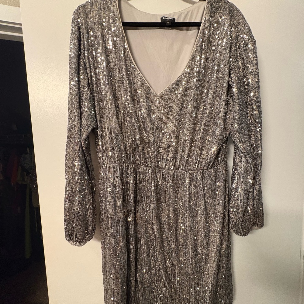 Express Silver Sequin Long Sleeve Dress